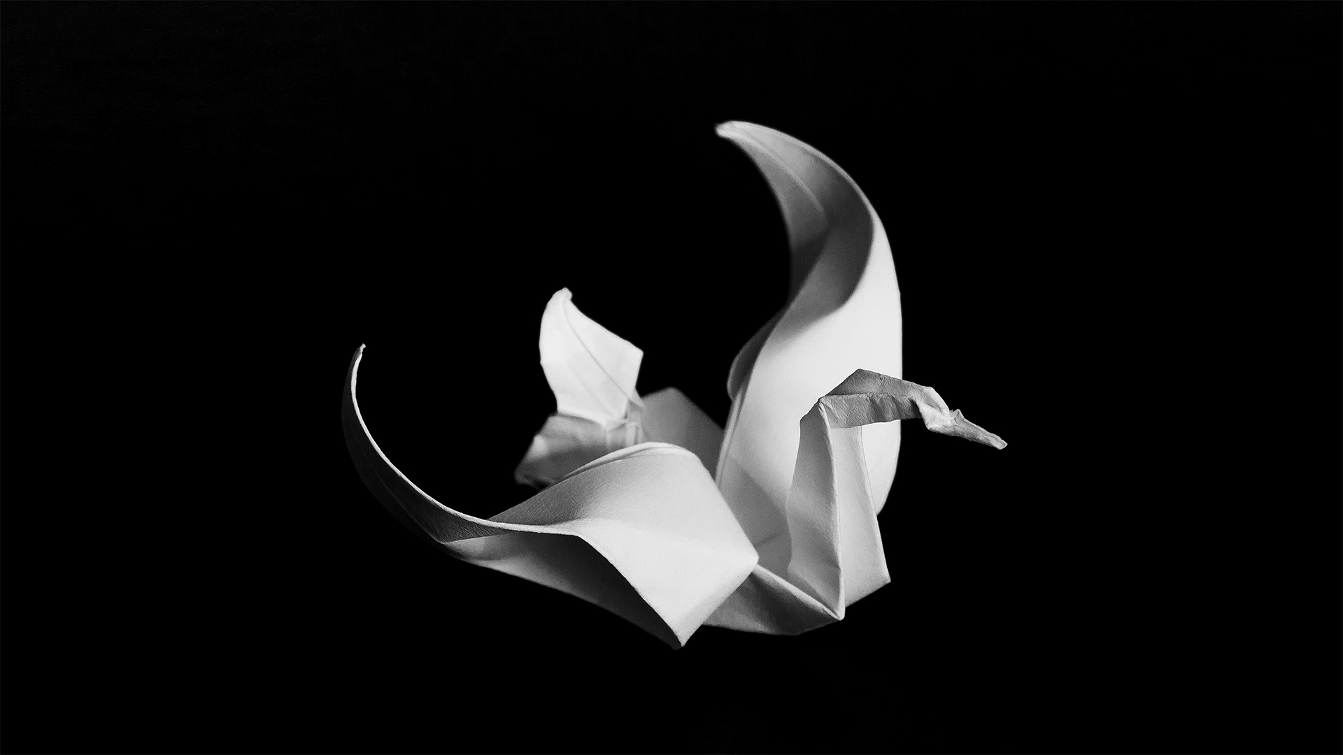 Black & White Form Photography